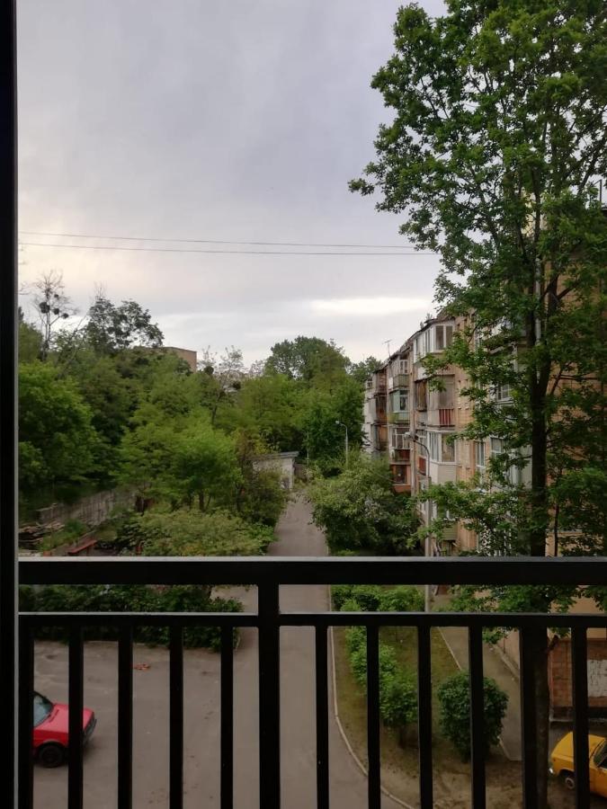 Lux Apartment, Near Metro Vasylkivska 基輔 外观 照片