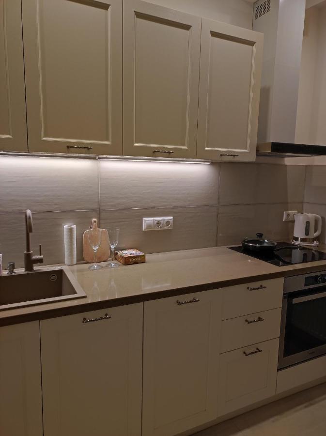 Lux Apartment, Near Metro Vasylkivska 基輔 外观 照片